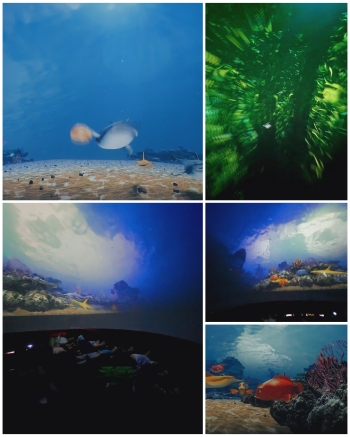 CollageMaker_2025121124658614