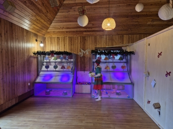 inbound4269917022490872060