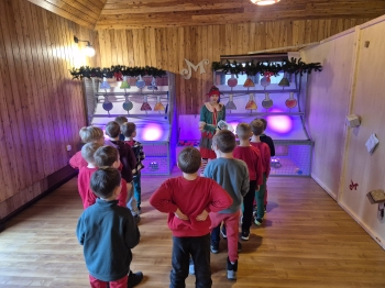 inbound6450355344830074863