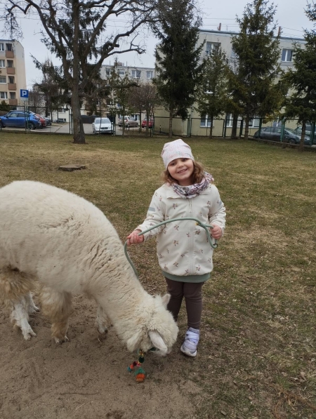 Powitanie Wiosny z alpakami :)