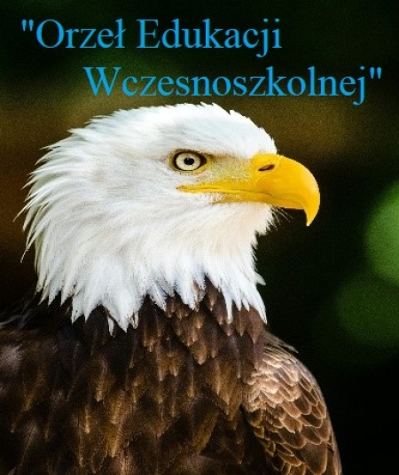 Wyniki Ogólnopolskiego Konkursu Orzeł Edukacji Wczesnoszkolnej”  i Orzeł Matematyczny” na 