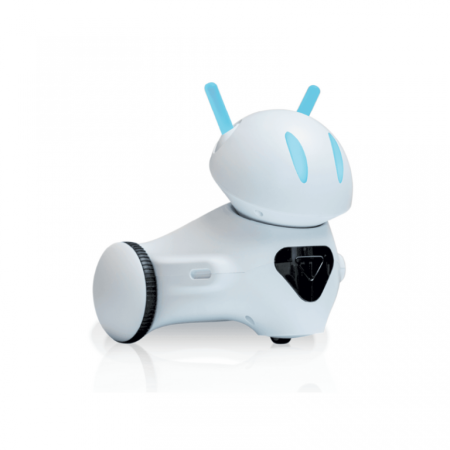 Robot Photon na lekcjach języka angielskiego