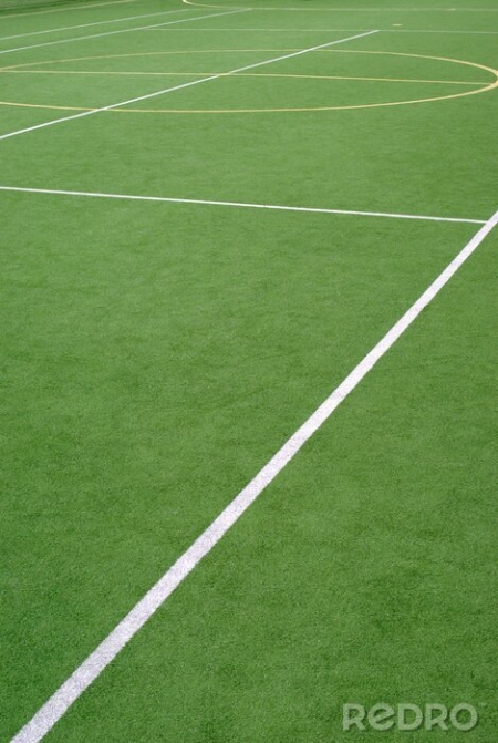 Regulamin korzystania z boisk sportowych Szkoły Podstawowej nr 2 im. Mikołaja Kopernika w 