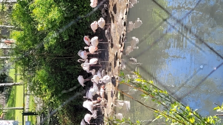 8.05.2025r. Wycieczka do ZOO.
