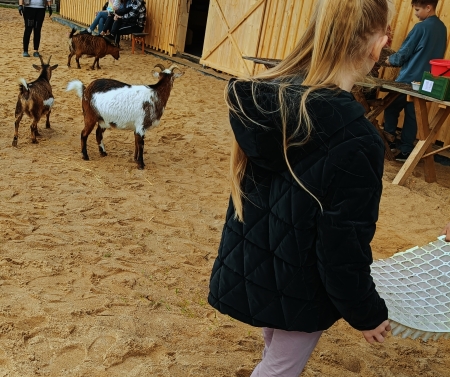 WYCIECZKA EDUKACYJNA KLASY 3B DO MOKREGO DWORU