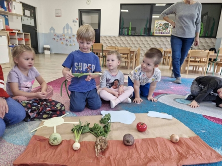 O warzywach wiemy już wszystko :)